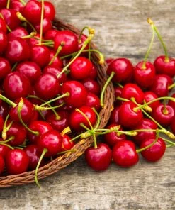 Brighter Blooms Sweetheart Cherry Tree