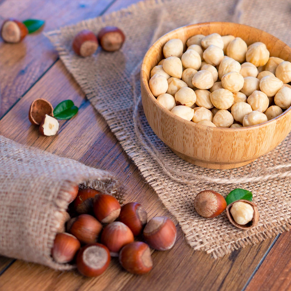 Brighter Blooms Theta Filbert Hazelnut Tree Nut Trees 3 Brighter Blooms Theta Filbert Hazelnut Tree Nut Trees
