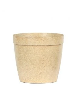 Brighter Blooms Delilah Pot Pots & Containers