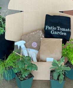 Brighter Blooms House & Patio Patio Tomato Garden