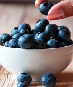 Brighter Blooms Blueberry Bushes Top Hat Blueberry Bush