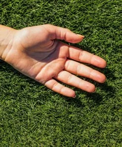 Brighter Blooms TurboTurf™ Bermudagrass Seed 6 Brighter Blooms TurboTurf™ Bermudagrass Seed