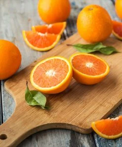 Brighter Blooms Valencia Orange Tree