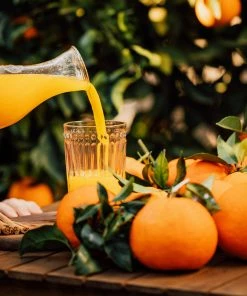 Brighter Blooms Valencia Orange Tree