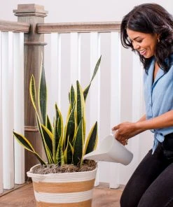 Brighter Blooms Watering Can