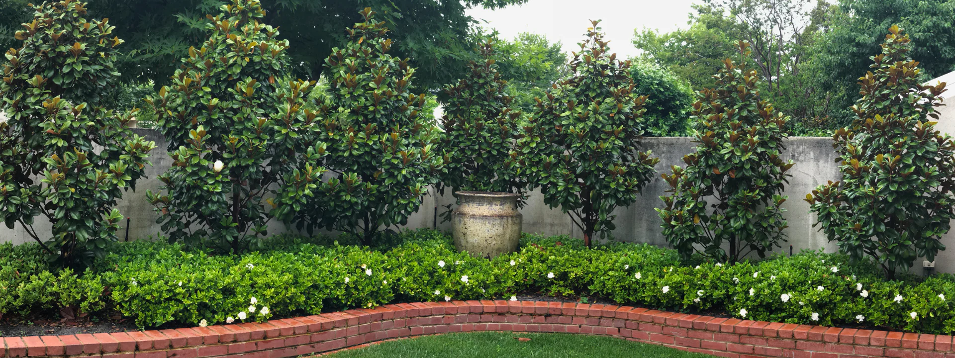 BrighterBlooms Sales -BrighterBlooms Sales Shrubs Homepage banner